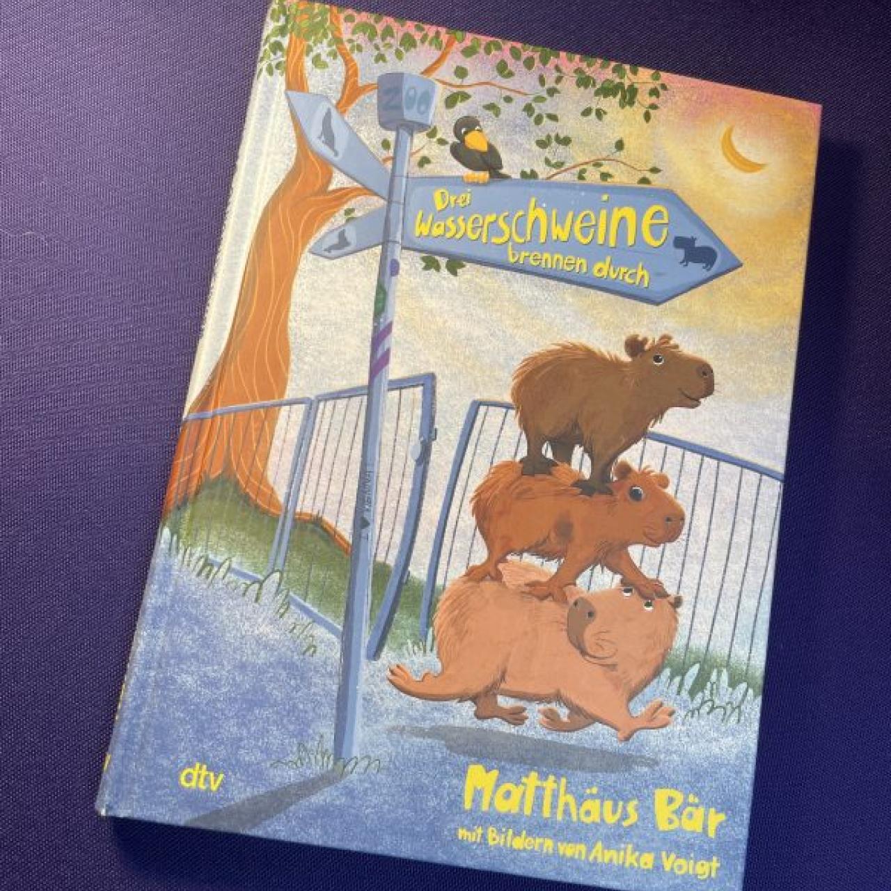 Cover: Mattäus Bär: Drei Wasserschweine brennen durch